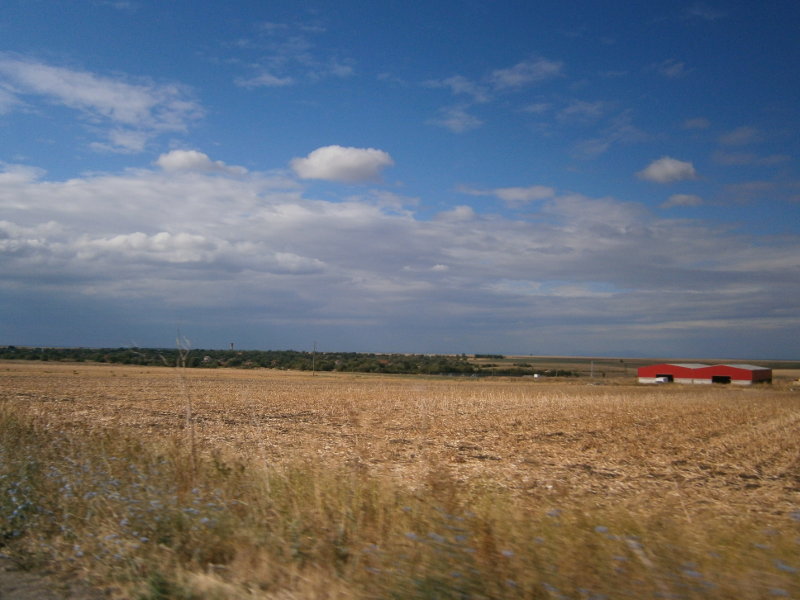 Купува земя - ниви в село Бяло поле, община Опан
