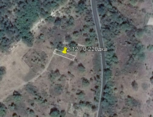 Продава лозе в Силен