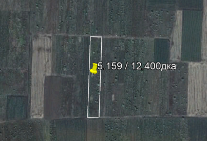 Продавам лозе в Поморие