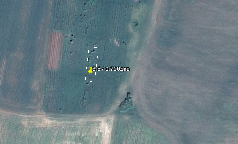 Продава лозе в Смирненци 006005