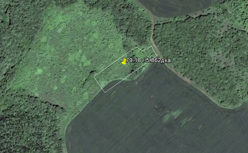 продава нива в струпец