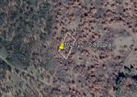 Златосел - продавам лозе