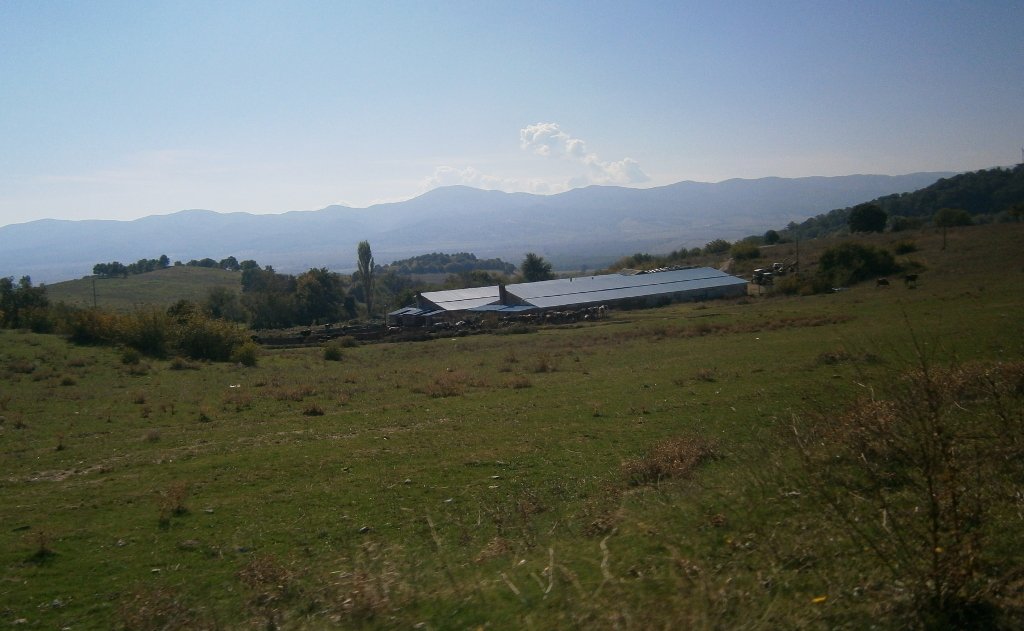 Кравеферма село Черна могила община Харманли