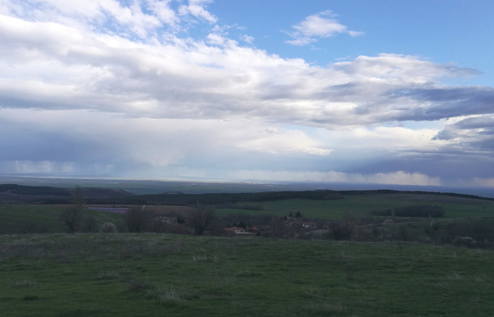 Ниви - купува в село Крива круша