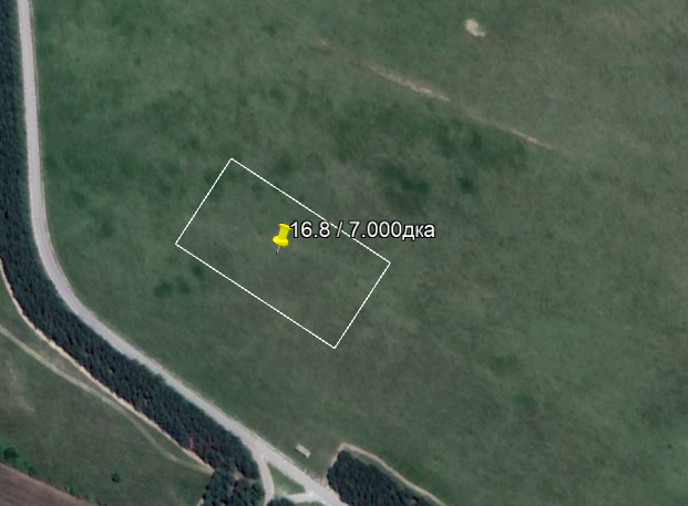 Продава пасище в Петрино