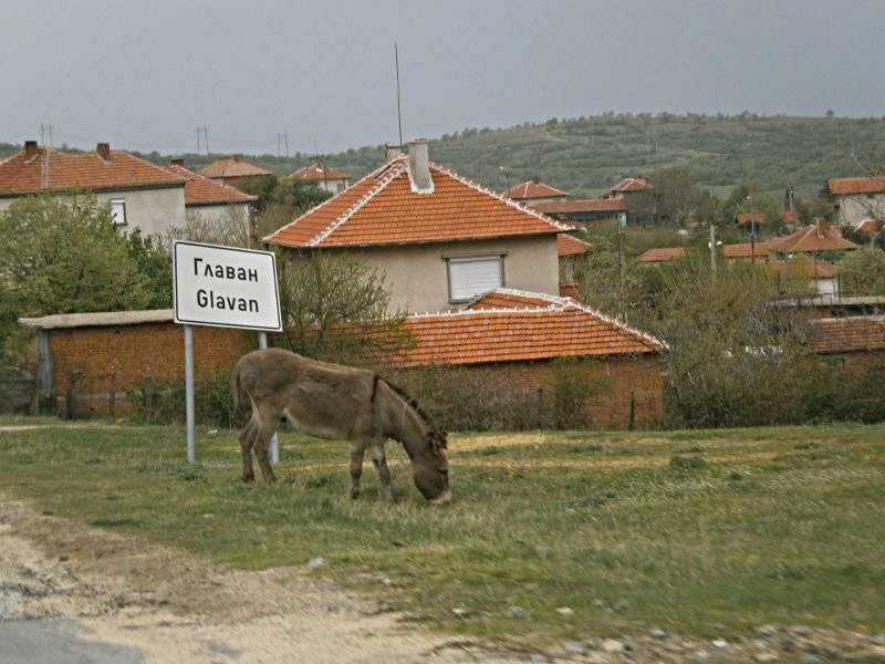 Село Главан, община Гълъбово