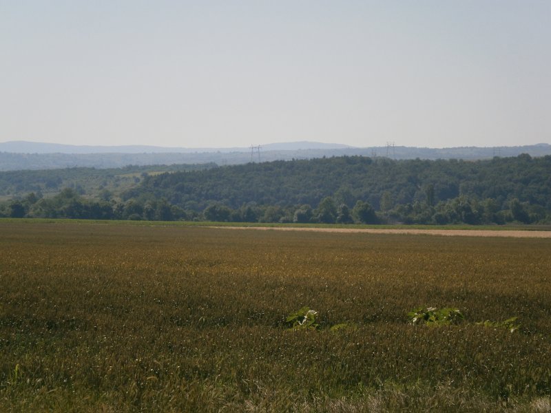 Ниви на село Владимирово