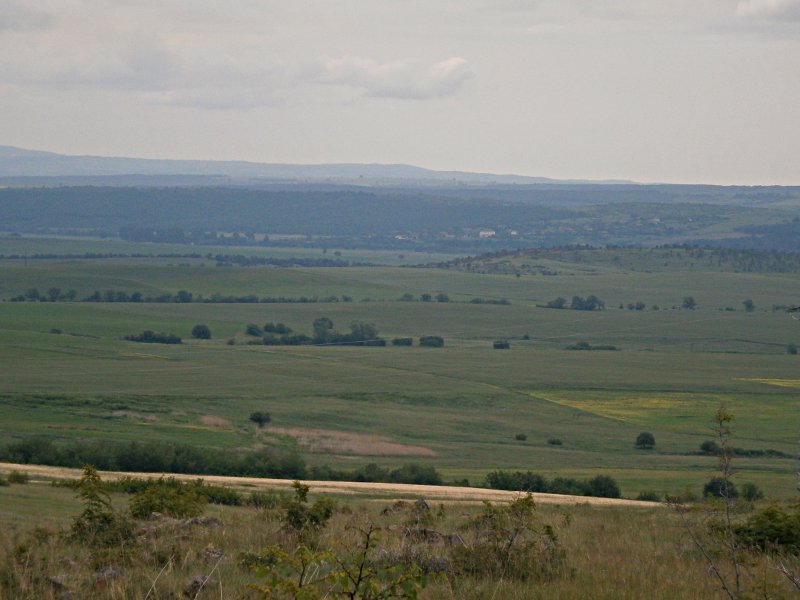 Село Доброселец