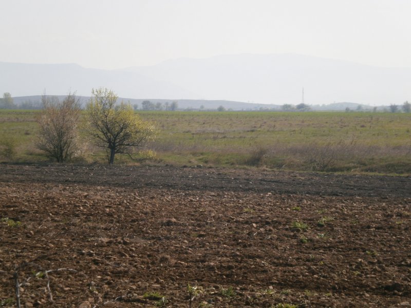 Земеделска земя землище Твърдица