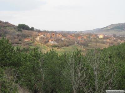 Купува земеделска земя в Железник, Черноочене