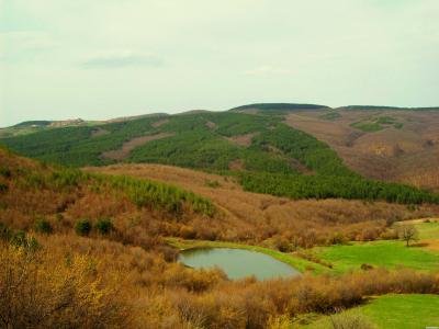 Купува земеделска земя в Житница, Черноочене