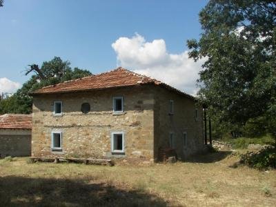 Купува земеделска земя в село Чал