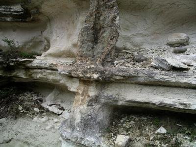 източник:tourism.kardzhali.org/ вкаменената гора
