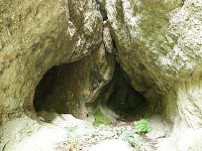 източник:http://ludetini.blogspot.com/2010_04_01_archive.html Купува земеделска земя в Душка