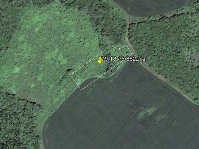 продава нива в струпец