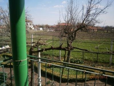 Асмата е добре поддържана Асмата е добре поддържана