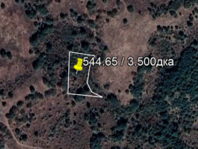 Продава нива в Орлов дол Продава нива в Орлов дол