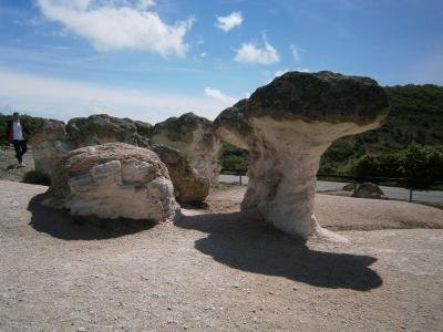 Каменни гъби край Бели пласт Каменни гъби край Бели пласт