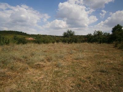 Продава дворно място в Питово