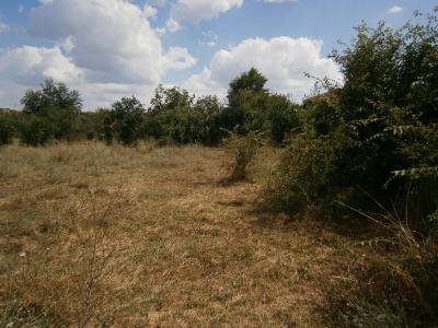 Продава дворно място в Питово Продава дворно място в Питово