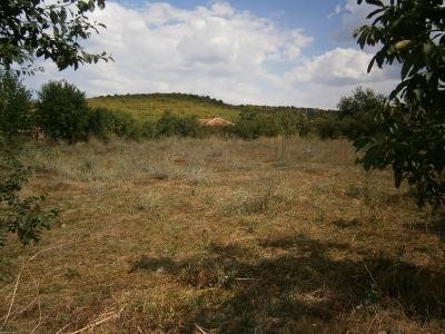 Продава дворно място в Питово Продава дворно място в Питово