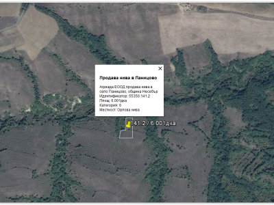 Продава нива 6,001дка в Паницово