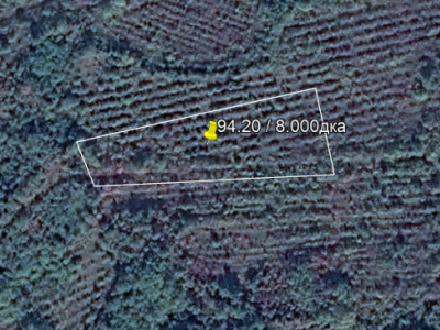 Продава овощна градина в Сухиндол Продава овощна градина в Сухиндол