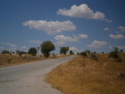 Продава ниви в Черепово, Свиленград