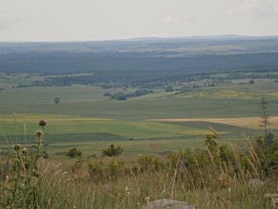 Ниви в землището на село Генерал Тошево, община Тунджа, област Ямбол.