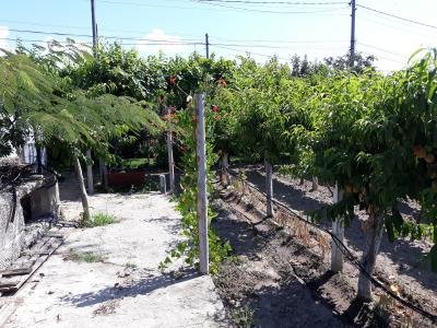 Продава дворно място в село Конаре, община Гурково Продава дворно място в село Конаре, община Гурково