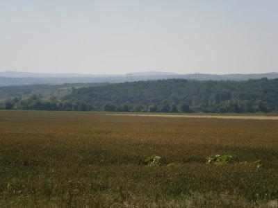 Ниви на село Владимирово