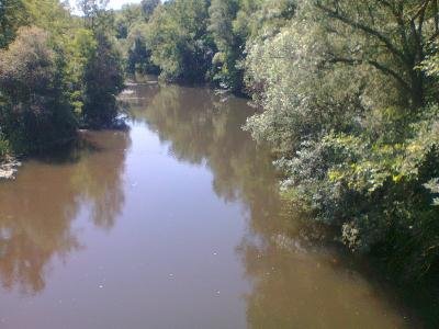 Река Соколица край Орлов дол