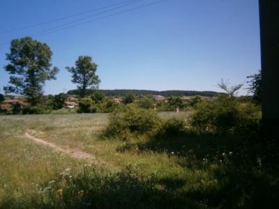 Орлов дол - Мъдрец