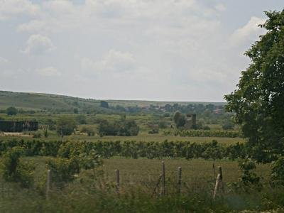 Земя в Злати войвода - праскови градини