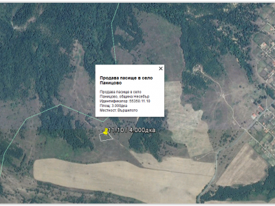 Продава пасище в Паницово