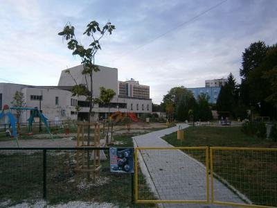 Град Раднево