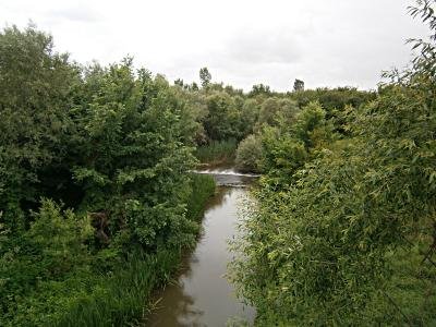 Изкупува земя в село Златиница, община Болярово, област Ямбол