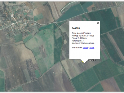 Продава лозе в Руманя