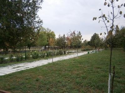 Купува земя в Биково, община Сливен Купува земя в Биково, община Сливен