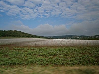 Зеленчукови градини на Дерони край село Богомилово