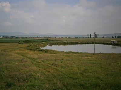 Купуваме земеделски земи в село Коньово