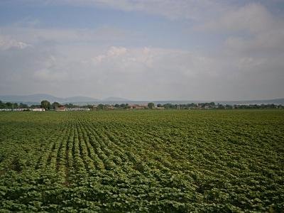 Покупко-продажба на земеделска земя в село Коньово