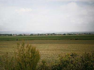 Търсиом земеделски земи в село Коньово