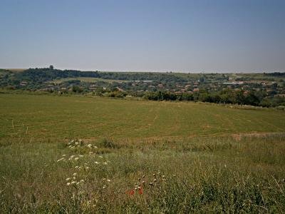 Купуваме земя - ниви в село Полски градец, Раднево