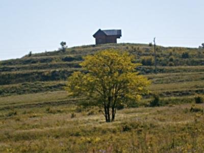 Купуваме земеделски земи в село Радево