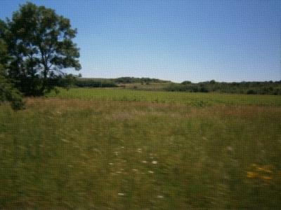 Купуваме земеделски земи - ниви в землището на село Искрица Купуваме земеделски земи - ниви в землището на село Искрица