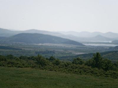 Купува земеделска земя в Брестова Купува земеделска земя в Брестова