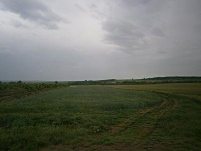Купува земя в с. Горно Белево, община Братя Даскалови Купува земя в с. Горно Белево, община Братя Даскалови