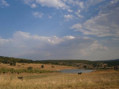 Купува земя в село Мрамор, община Тополовград