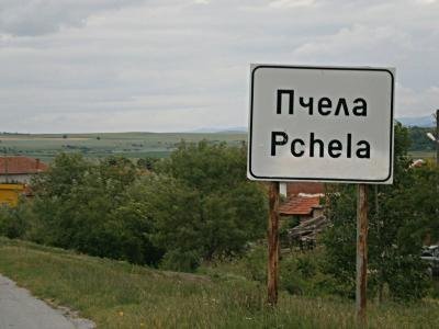 Пчела, община Елхово